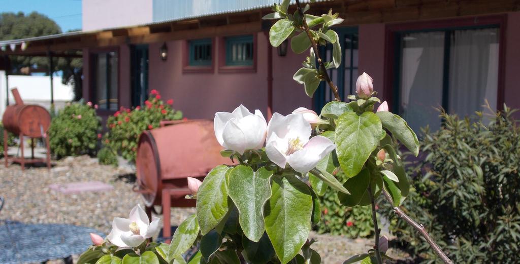 Posada Caracoles Puerto Pirámides Zimmer foto